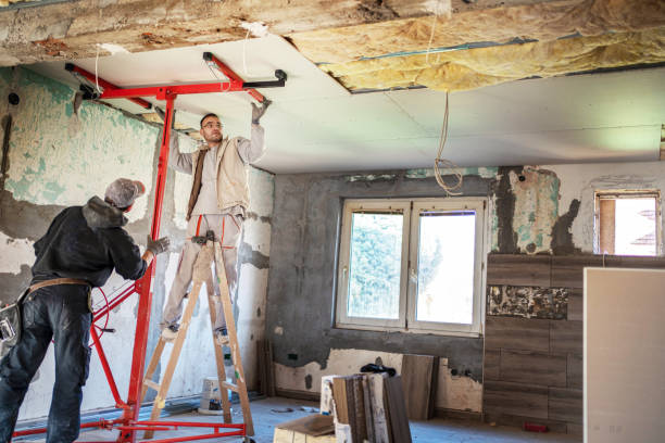 Best Residential Insulation in Sanford, CO