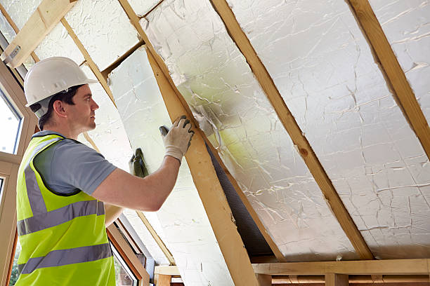Best Insulation Maintenance and Repair in Sanford, CO